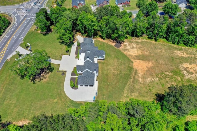 drone / aerial view