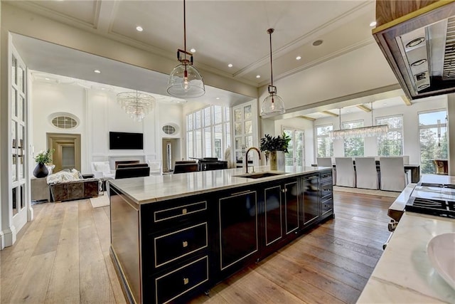 kitchen featuring a sink, dark cabinetry, light wood-type flooring, and open floor plan