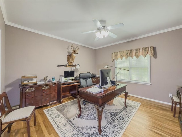 710 Bentgrass Ct, Dacula, GA 30019 - office with a ceiling fan, light wood finished floors, and ornamental molding