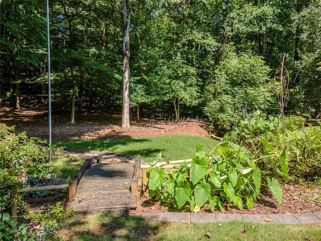 710 Bentgrass Ct, Dacula, GA 30019 - view of yard featuring a vegetable garden