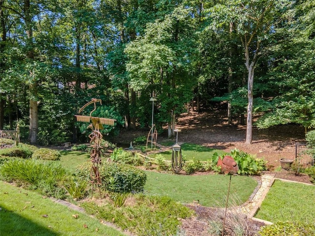 710 Bentgrass Ct, Dacula, GA 30019 - view of grassy yard