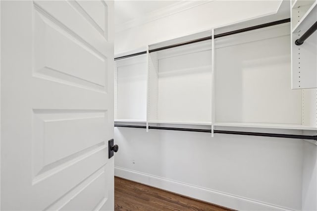 spacious closet featuring dark wood finished floors