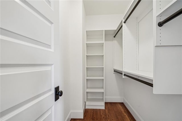 walk in closet with dark wood finished floors