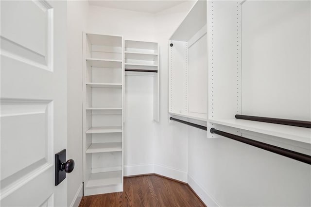 spacious closet with dark wood finished floors