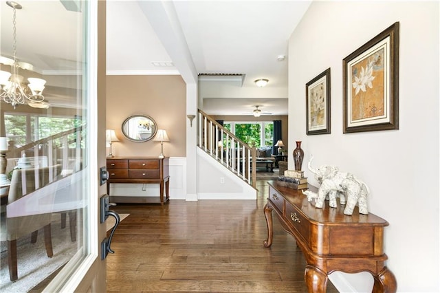 hallway with crown molding, dark hardwood / wood-style floors, and a notable chandelier