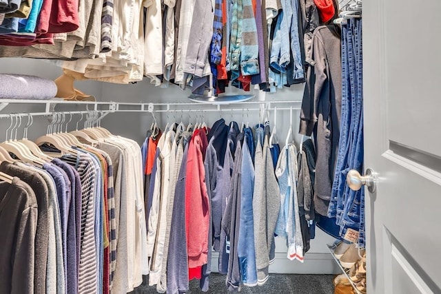 386 Summersong Pl, Talmo, GA 30575 - view of walk in closet
