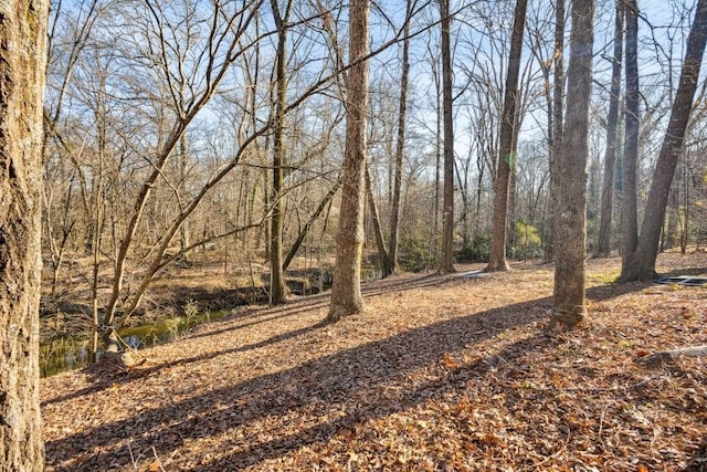 7994 Devonshire Dr, Jonesboro, GA 30238 - view of yard
