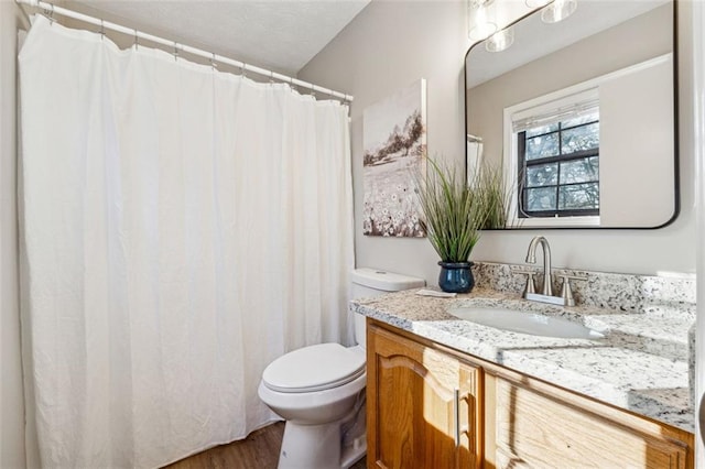 bathroom featuring vanity, hardwood / wood-style flooring, and toilet