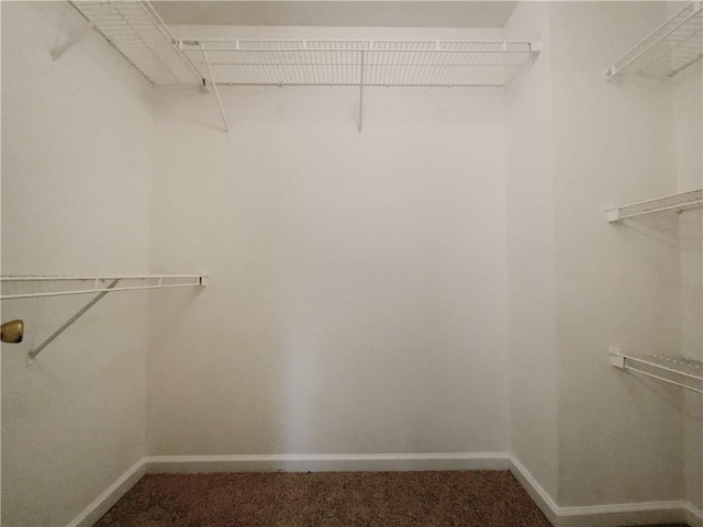 view of walk in closet