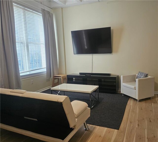 living room featuring light wood-type flooring