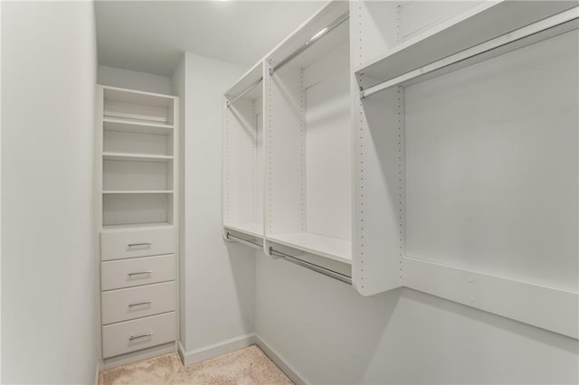 spacious closet with light colored carpet