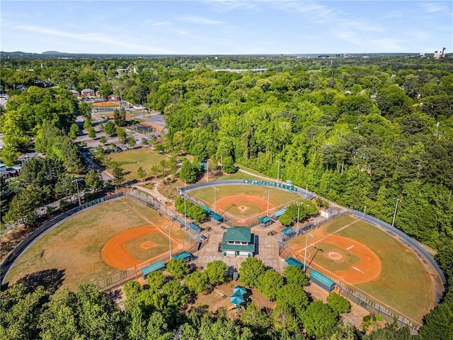 bird's eye view