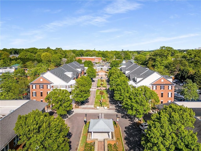 bird's eye view