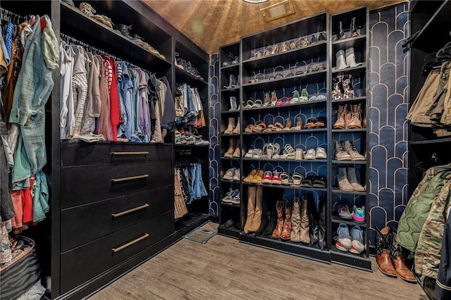 137 Evergreen Ridge Ct, Statham, GA 30666 - spacious closet featuring wood finished floors