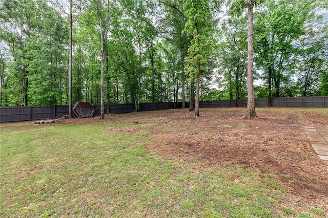 137 Evergreen Ridge Ct, Statham, GA 30666 - view of yard