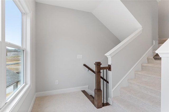 staircase featuring carpet floors, a wealth of natural light, and lofted ceiling