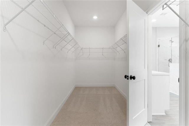 walk in closet with light carpet