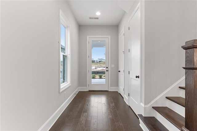 entryway featuring dark hardwood / wood-style flooring