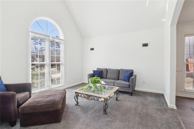 living area with baseboards, carpet floors, high vaulted ceiling, and a healthy amount of sunlight