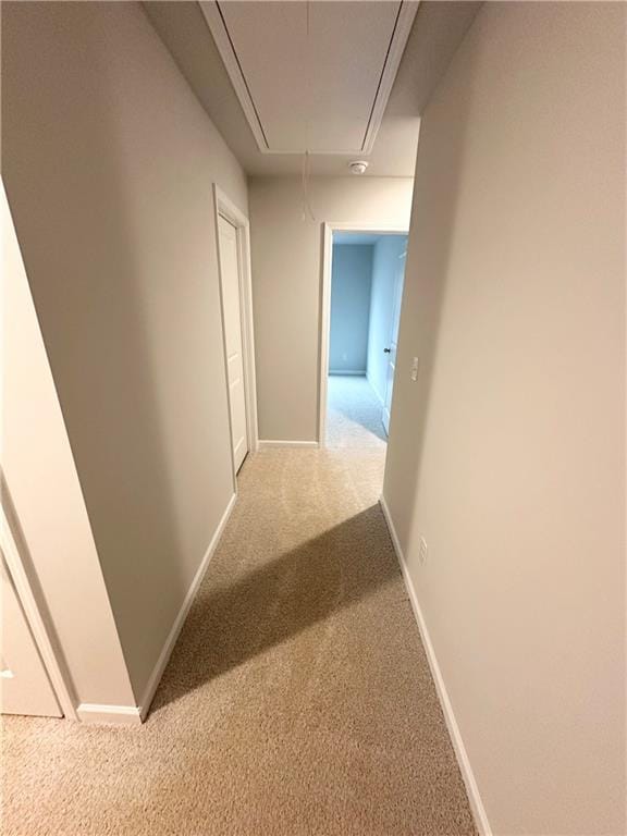 hallway with attic access, carpet flooring, and baseboards