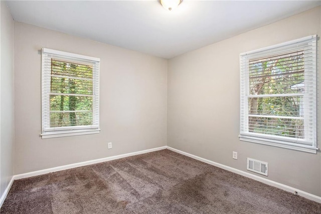 empty room featuring a wealth of natural light and carpet floors