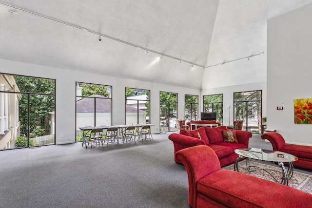 244 13th St NE Unit 302, Atlanta, GA 30309 - living area with rail lighting, plenty of natural light, carpet flooring, and a towering ceiling