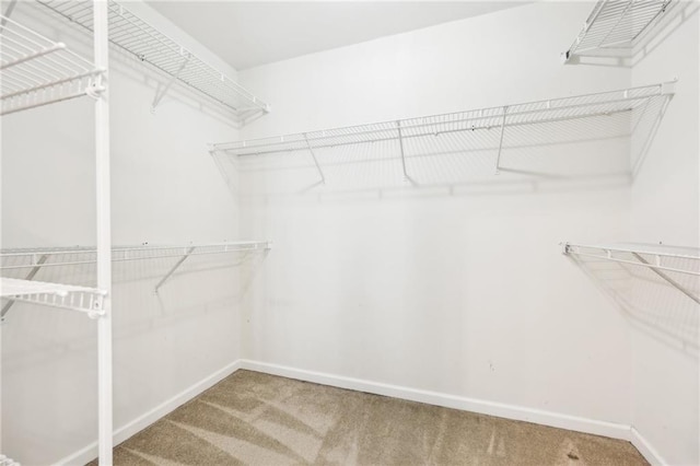 walk in closet featuring carpet flooring