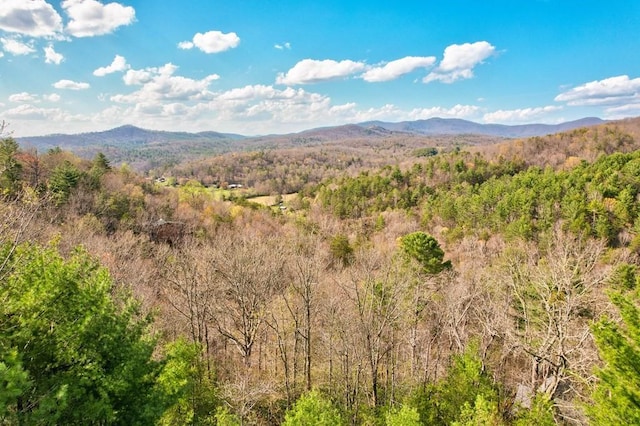 mountain view featuring a wooded view