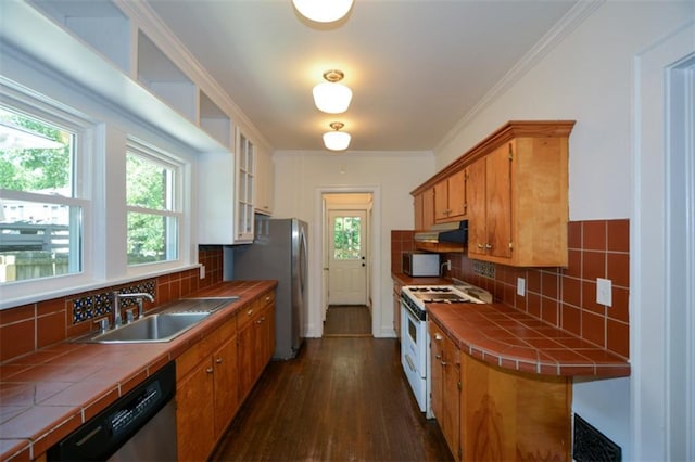 kitchen with tile counters, tasteful backsplash, dark wood-type flooring, and stainless steel appliances