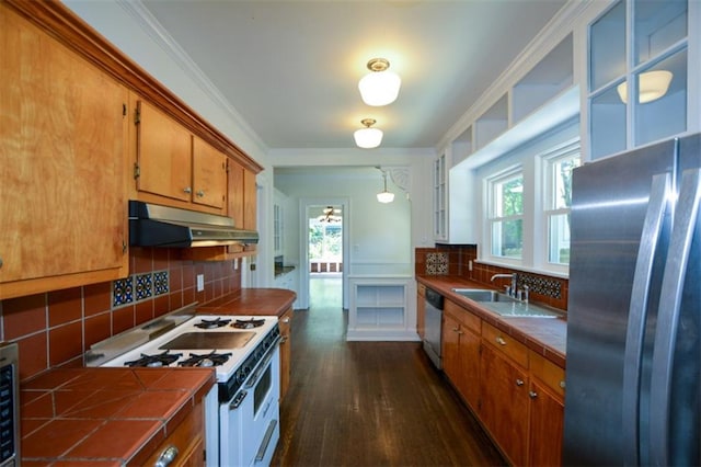 kitchen featuring backsplash, tile counters, stainless steel appliances, and a healthy amount of sunlight