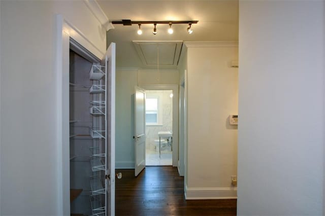 hall featuring dark hardwood / wood-style flooring and track lighting