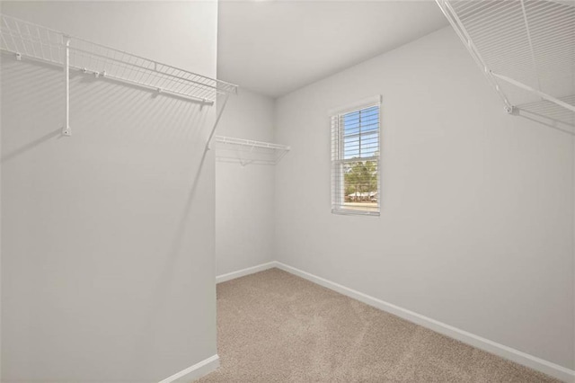 spacious closet with carpet