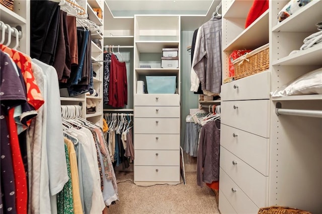 spacious closet with carpet