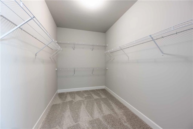 spacious closet with carpet