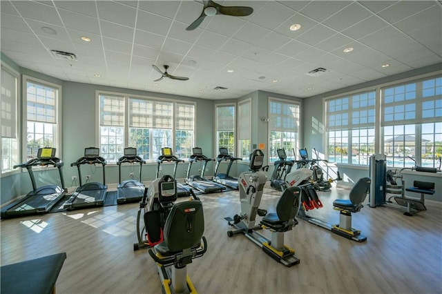 exercise room featuring a paneled ceiling, light hardwood / wood-style flooring, plenty of natural light, and ceiling fan