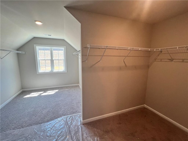 320 Willow Cv, Canton, GA 30114 - walk in closet with visible vents, carpet flooring, and vaulted ceiling