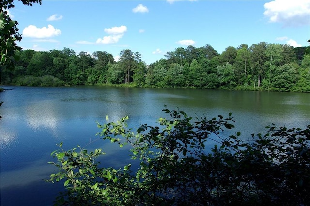 2814 Shellbark Rd, Decatur, GA 30035 - water view featuring a heavily wooded area
