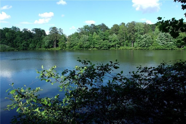 2814 Shellbark Rd, Decatur, GA 30035 - water view with a forest