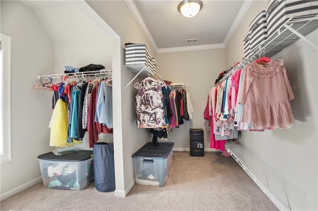 spacious closet with carpet