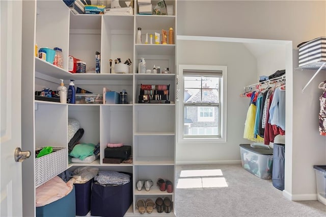 spacious closet featuring carpet floors