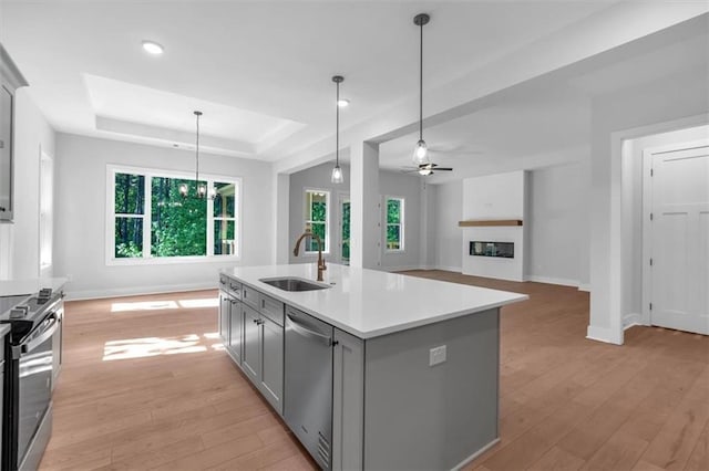 kitchen with a sink, appliances with stainless steel finishes, gray cabinets, a tray ceiling, and light wood-style flooring