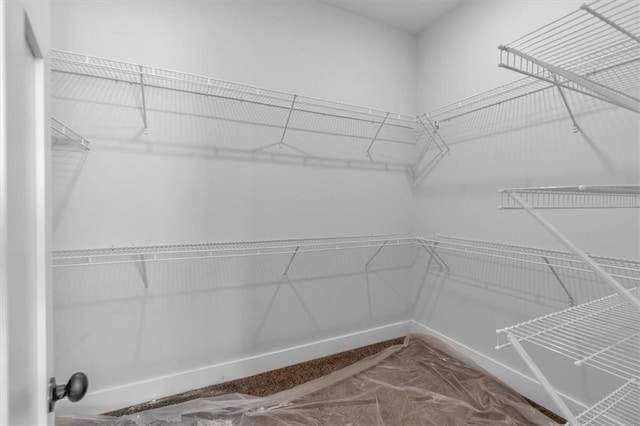 view of walk in closet