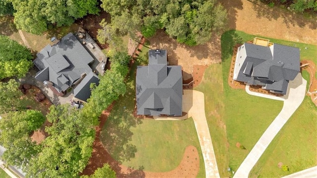 bird's eye view