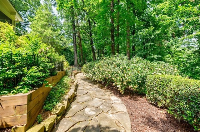 3030 Spalding Dr, Sandy Springs, GA 30350 - view of yard