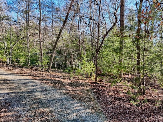 Listing photo 3 for 4 Rocky Rd, Blairsville GA 30512