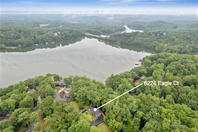 6224 Eagle Ct, Gainesville, GA 30506 - aerial overview of property's location with a large body of water, a forest, and property boundaries highlighted