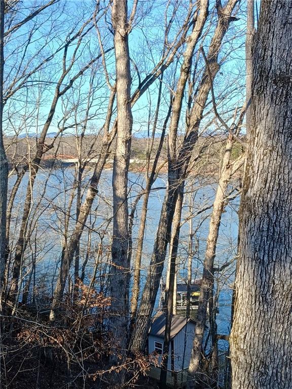 6224 Eagle Ct, Gainesville, GA 30506 - water view