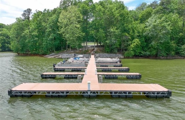6224 Eagle Ct, Gainesville, GA 30506 - dock with a water view