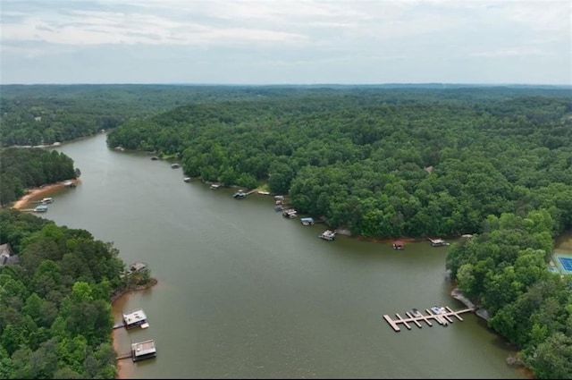 6224 Eagle Ct, Gainesville, GA 30506 - aerial view of a forest and a large body of water