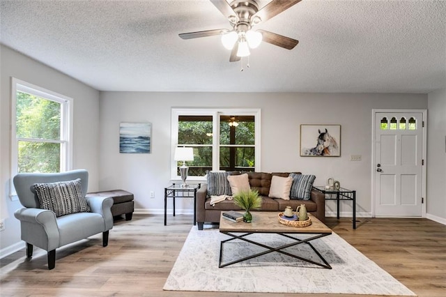 living room with ceiling fan, wood-type flooring, and a textured ceiling